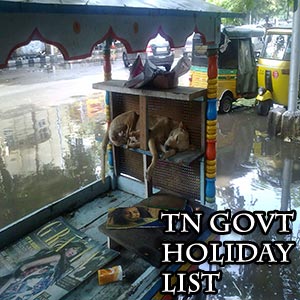 Tamil Nadu Govt.Holiday 2012