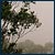 Yercaud