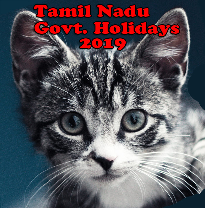 Tamil Nadu Government Holiday List 2019