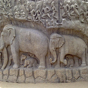 Tamil Nadu Govt.Holiday 2013