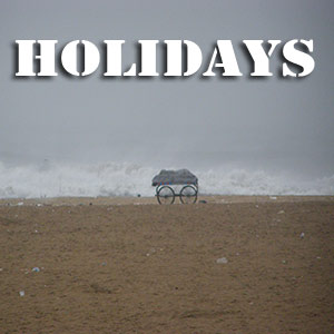 Tamil Nadu Govt.Holiday 2014