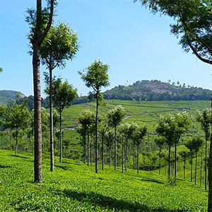 Meghamalai Hills